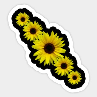 sunflowers, sunflower, bloom, flower, floral Sticker